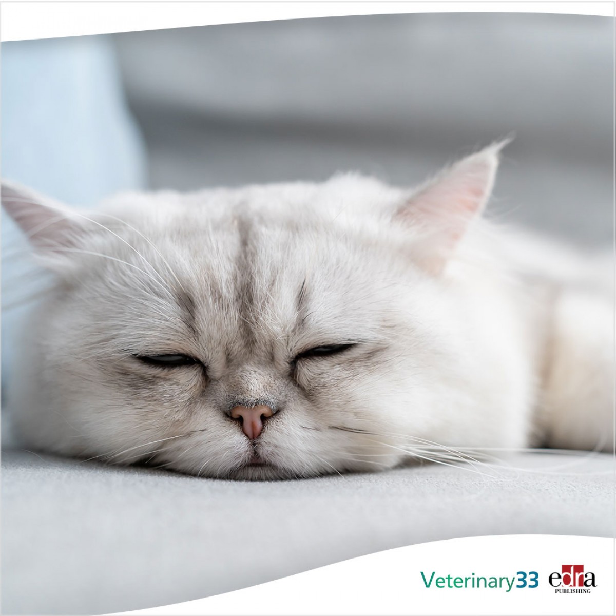 Clinical significance of heart murmurs detected on cardiac auscultation