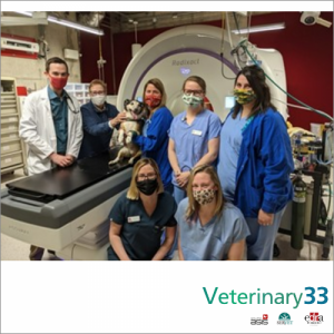 Mac with his care team at UW-Madison School of Veterinary Medicine. Photo credit: University of Wisconsin School of Veterinary Medicine.
