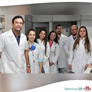 Professor João Luís Garcia with his team of researchers. (Image: UEL)